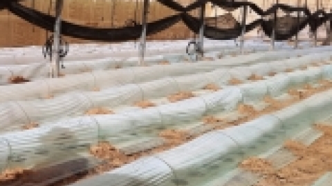 בדרך לנופש באילת ינואר 2016 (8).jpg