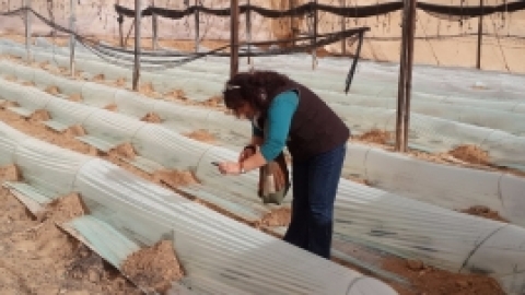 בדרך לנופש באילת ינואר 2016 (13).jpg