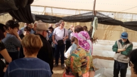 בדרך לנופש באילת ינואר 2016 (7).jpg