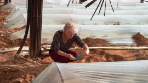 בדרך לנופש באילת ינואר 2016 (12).jpg