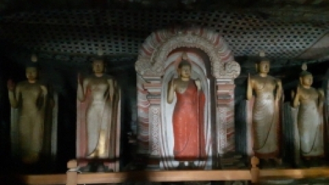 סרי לנקה 2022 (39).jpg