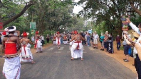 סרי לנקה 2022 (41).jpg