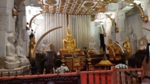 סרי לנקה 2022 (52).jpg