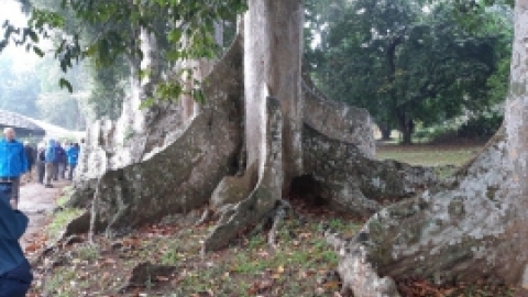 סרי לנקה 2022 (62).jpg