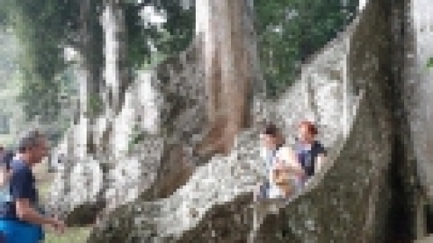 סרי לנקה 2022 (63).jpg