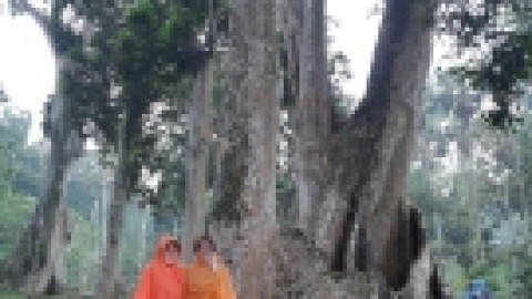 סרי לנקה 2022 (66).jpg