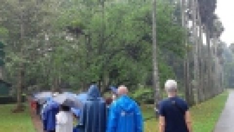 סרי לנקה 2022 (61).jpg