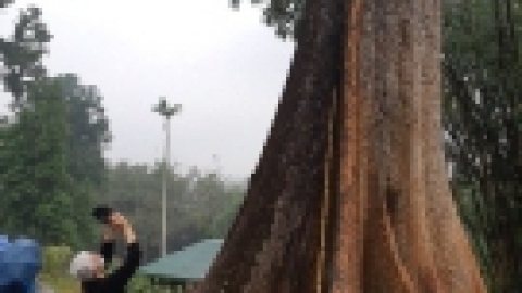 סרי לנקה 2022 (60).jpg