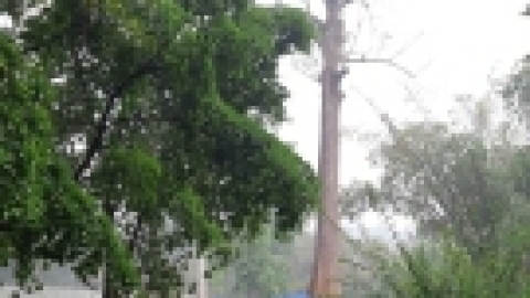 סרי לנקה 2022 (58).jpg