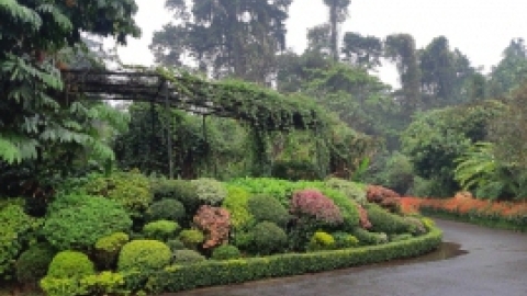 סרי לנקה 2022 (72).jpg