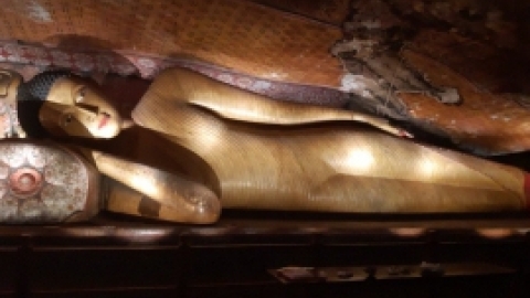 סרי לנקה 2022 (67).jpg