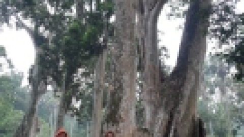 סרי לנקה 2022 (65).jpg