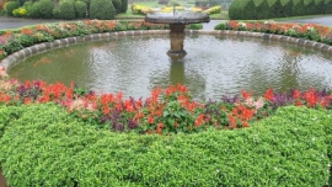 סרי לנקה 2022 (80).jpg