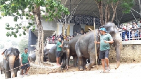 סרי לנקה 2022 (77).jpg