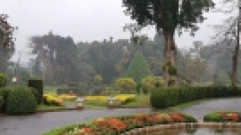 סרי לנקה 2022 (90).jpg