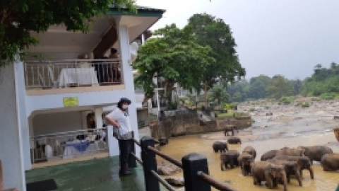 סרי לנקה 2022 (91).jpg