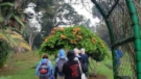 סרי לנקה 2022 (83).jpg