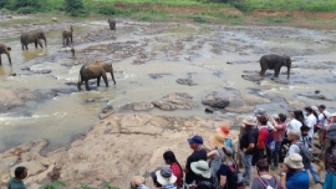 סרי לנקה 2022 (87).jpg