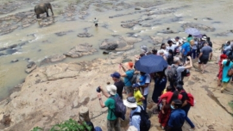 סרי לנקה 2022 (86).jpg