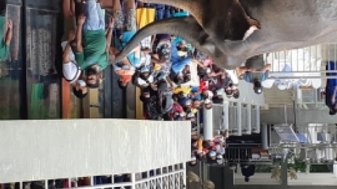 סרי לנקה 2022 (97).jpg