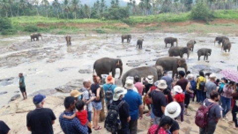 סרי לנקה 2022 (92).jpg