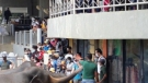 סרי לנקה 2022 (96).jpg