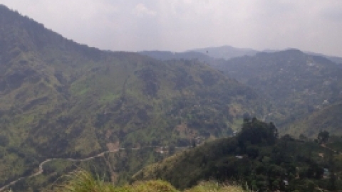 סרי לנקה 2022 (106).jpg