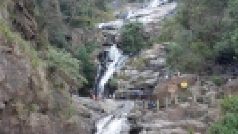 סרי לנקה 2022 (108).jpg