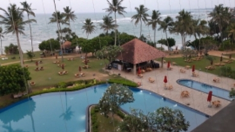 סרי לנקה 2022 (121).jpg