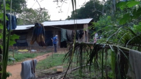 סרי לנקה 2022 (116).jpg