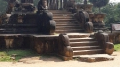 סרי לנקה 2022 (134).jpg