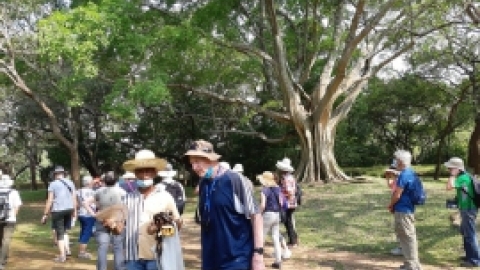 סרי לנקה 2022 (133).jpg