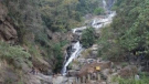 סרי לנקה 2022 (138).jpg