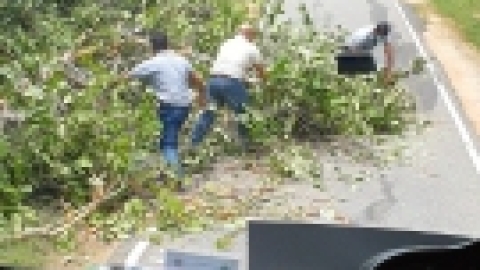 סרי לנקה 2022 (132).jpg