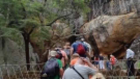 סרי לנקה 2022 (146).jpg