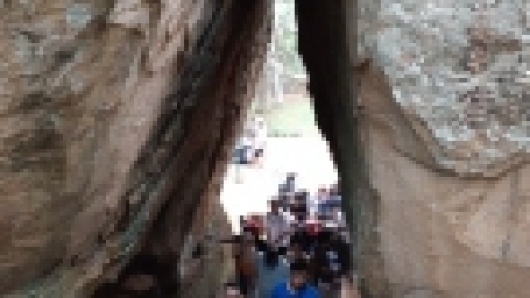 סרי לנקה 2022 (147).jpg