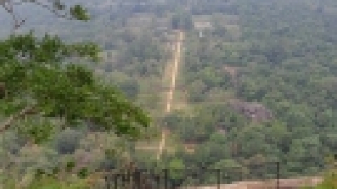 סרי לנקה 2022 (159).jpg