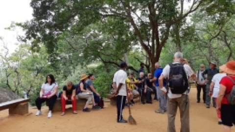 סרי לנקה 2022 (163).jpg