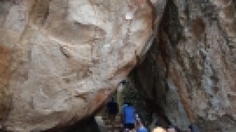 סרי לנקה 2022 (174).jpg