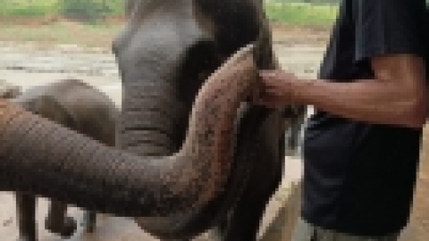 סרי לנקה 2022 (184).jpg