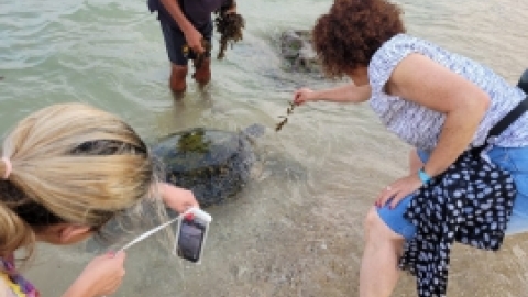 סרי לנקה 2022 (182).jpg