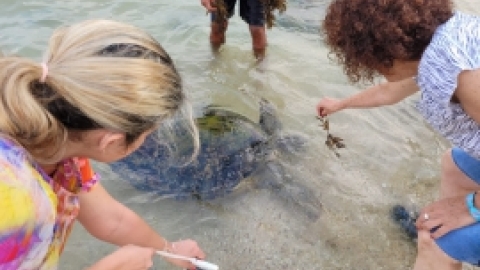 סרי לנקה 2022 (186).jpg