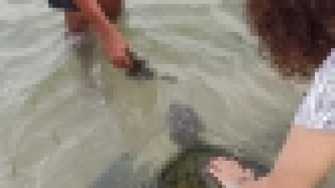 סרי לנקה 2022 (200).jpg