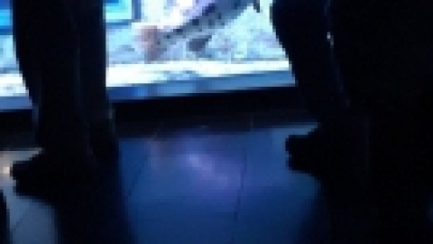 נופש בירושלים נובמבר 21 (9).jpg