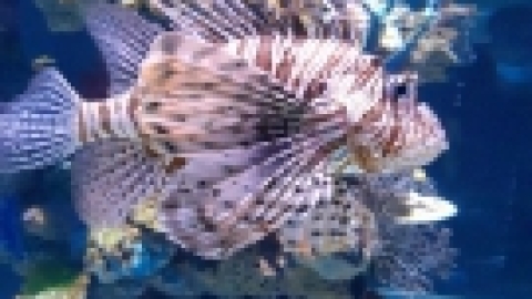 נופש בירושלים נובמבר 21 (61).jpg