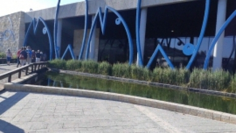 נופש בירושלים נובמבר 21 (60).jpg