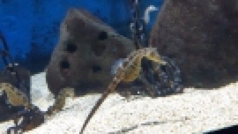 נופש בירושלים נובמבר 21 (70).jpg