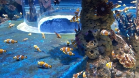 נופש בירושלים נובמבר 21 (72).jpg