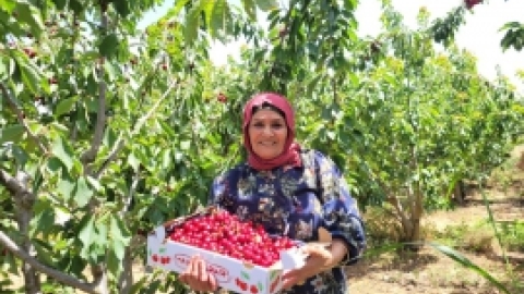 טיול המועדונים הבדואים לנחל לנחל שניר יוני 21 (6).jpeg