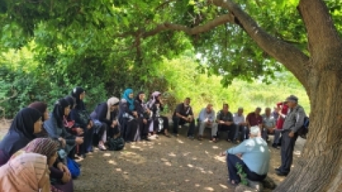 טיול המועדונים הבדואים לנחל לנחל שניר יוני 21 (12).jpeg